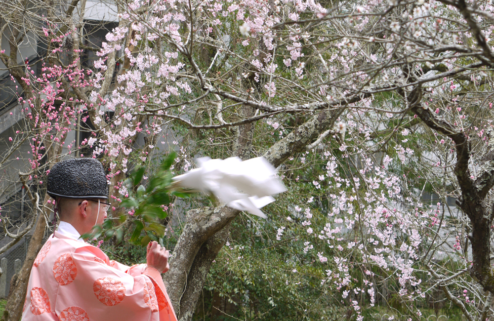  3月22日(日) 梅花祭を齋行しました。 