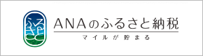 ANAの天ふるさと納税