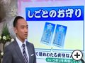 テレビ・映像/毎日放送「ちちんぷいぷい」