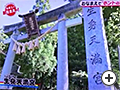 テレビ・映像/NHK総合テレビ「ネーミングバラエティー日本人のおなまえっ！『おなまえで再発見ホントの京都』」