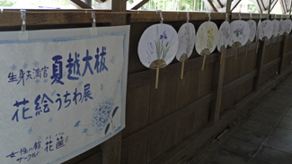 夏越の大祓「花絵うちわ展」開催しています。