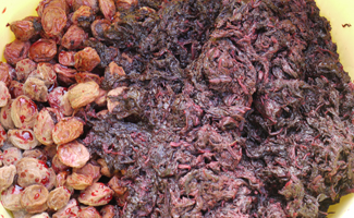 合格梅、漬込み完了しました。