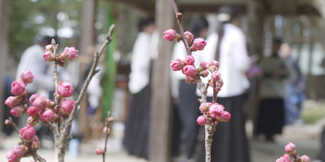  3月22日(日) 梅花祭を齋行します。 