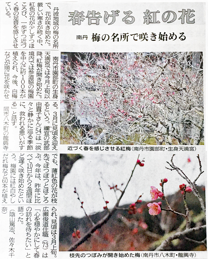 生身天満宮 令和４年 梅便り vol.１